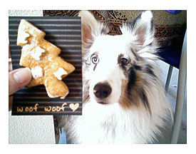 meche's homemade dog treats!