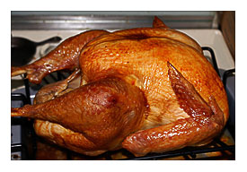 Thanksgiving turkey with programme