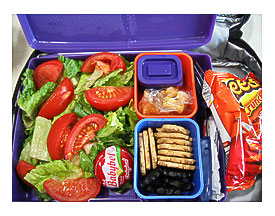 laptop_lunchbox 2007.08.10
