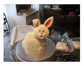 Images Of How To Make A 3d Bunny Cake The Miracle Of Easter