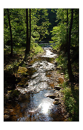 Sway Gap Rd, West Virginia