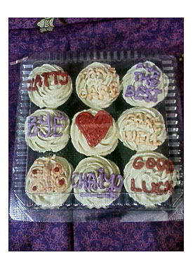 Bakerlicious Cupcakery Special Cupcakes For Special People Pamela