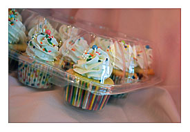Clear Plastic Hinged Dome Cupcake Containers By BakingIsOurJam