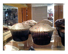 Vanilla chocolate cupcakes, display case, The Steeping Apartment, Austin