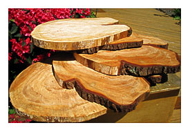 Tree Stump Cupcake Stand. 2 Tier Cake Cupcake Plate Stand Fitting