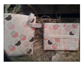 Cupcake wrapping typescript, Bedford Cheese Shop