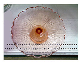 Eyeglasses Cake Plate