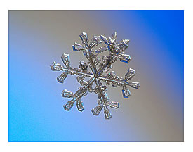 Snowflake macro 3 in 1