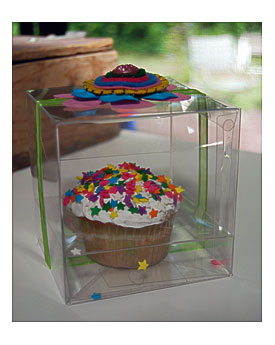 Cupcake Boxes That I Got At Memory Bound We Put The Special Cupcakes