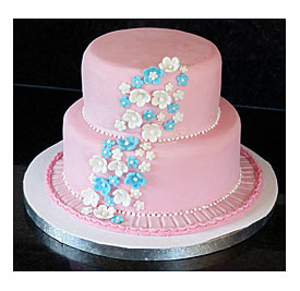 Cakes Birthday Cakes Adorable Wilton Cake Decorating Ideas Lovable