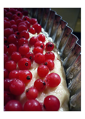Finnish Redcurrant Cake