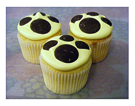 Cupcakes For Dogs Related Keywords & Suggestions Doggie Cupcakes