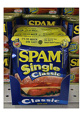 SPAM single and 16 casual things about me