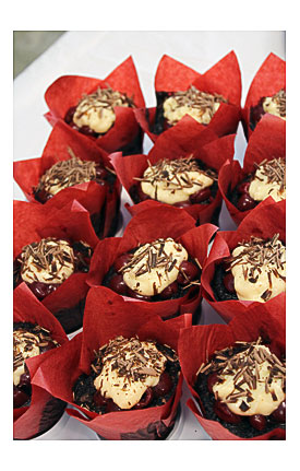 Tulip Baking Cups Tulip Cupcake Liners – Product Highlight