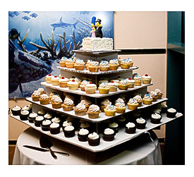Halfwit & Organic Wedding cupcakes