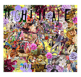 Nightingales No Pleasure Lost (album cover)